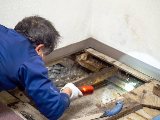 Best Water Damage Restoration  in Boonsboro, MD