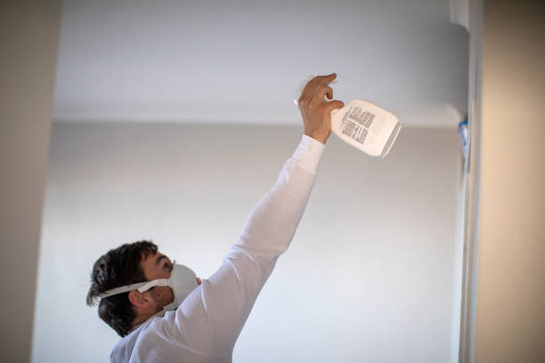 Best Black Mold Removal  in Boonsboro, MD