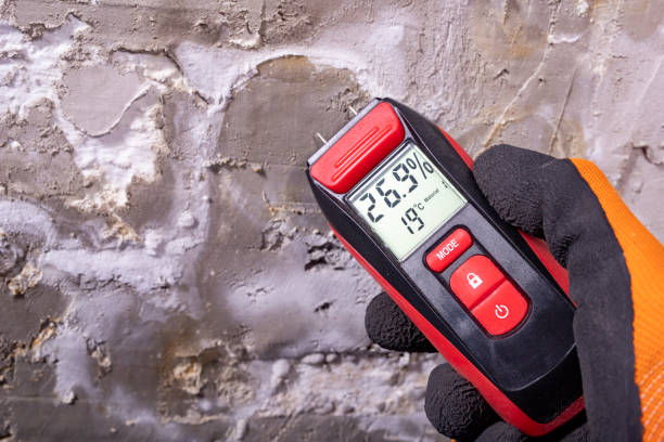Best Local Mold Removal Service  in Boonsboro, MD